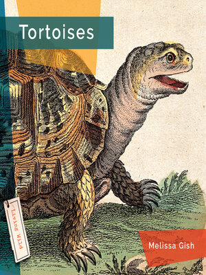 cover image of Tortoises